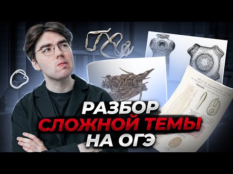 Видео: Паразитические черви для ОГЭ | Одна из самых сложных тем для ОГЭ по биологии