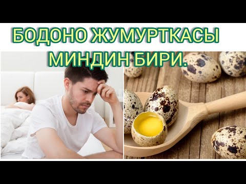 Видео: БОДОНО ЖУМУРТКАСЫН КУНДО ЖЕНИЗ АЛ МИНДИН БИРИ. ТАБЫЛГЫС ДААРЫ. Эркектердин бел кубатын которот.