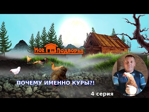 Видео: ПОЧЕМУ ИМЕННО КУРЫ!? "Мое подворье"
