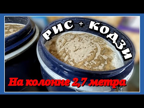 Видео: Рисовая водка двумя способами. Дистиллят или ректификат. Ставим рисовую брагу, перегоняем, пробуем