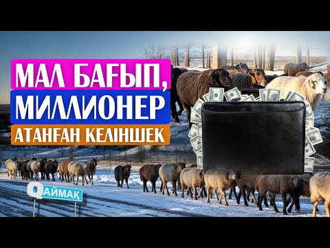 Видео: ДИПЛОММЕН АУЫЛҒА КЕЛІП,  МАЛ БАҒЫП  МИЛЛИОНЕР БОЛЫП ОТЫРҒАН  КЕЛІНШЕК