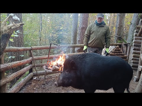 Видео: Жизнь в лесу | он пришел погреться | Заменил опасный утеплитель в парной.