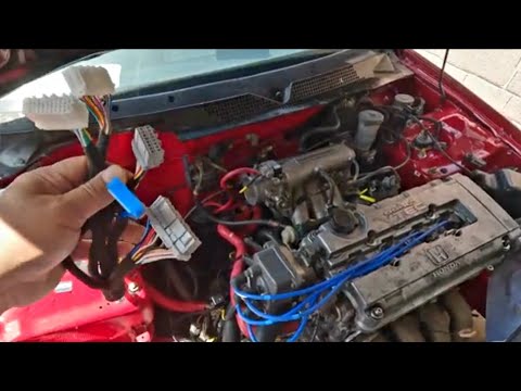 Видео: Бюджетный жгут проводов двигателя Tucked. Первое впечатление!