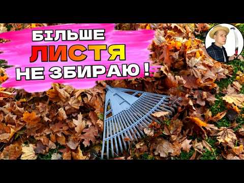Видео: ЧУДОВЕ РІШЕННЯ - Опале листя тепер не збираю, а сад отримує користь!