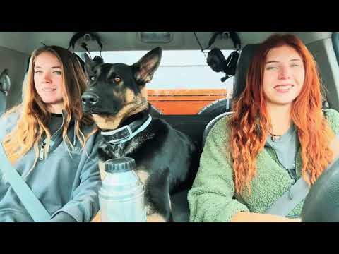 Видео: Доставка дров в глушь