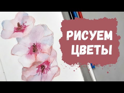 Видео: Как нарисовать нежные цветы акварелью | Рисование для начинающих