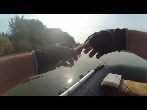 Видео: Летний окунь на косадака ион 32ф и щука на инквизитор 110сп.