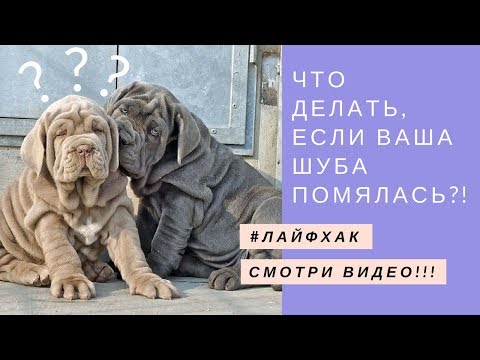 Видео: Лайфхак - как разгладить заломы, если помялась шуба из искусственного меха