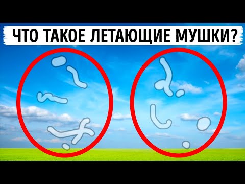 Видео: 50+ фактов об организме, о которых стоило узнать раньше
