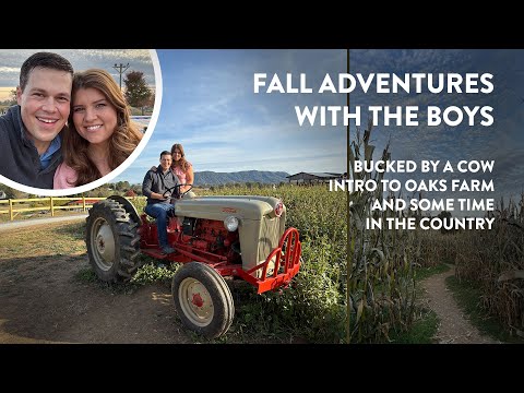 Видео: Наездник на корову и другие осенние приключения | Keilen Corner