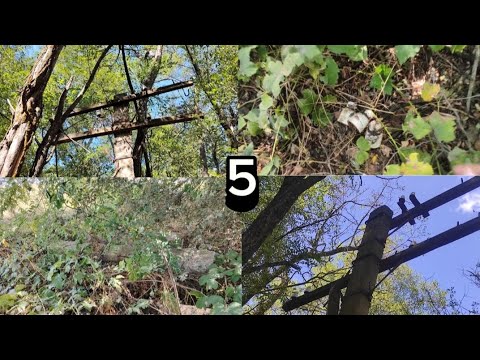 Видео: Поиск изоляторов Часть 5. Тф20 Южноуральские, не поваленные телефонные опоры