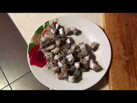 Видео: Кормление  мойвой