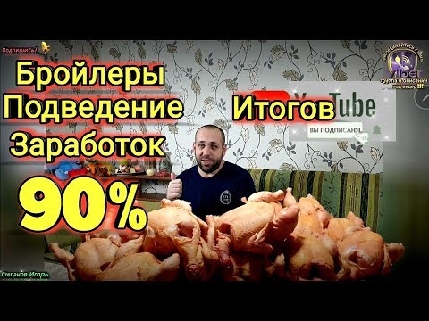 Видео: Бройлеры Подведение Итогов Заработок 90% Сколько Можно Заработать на Бройлерах