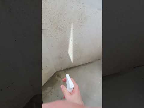 Видео: избавляемся от плесени на балконе