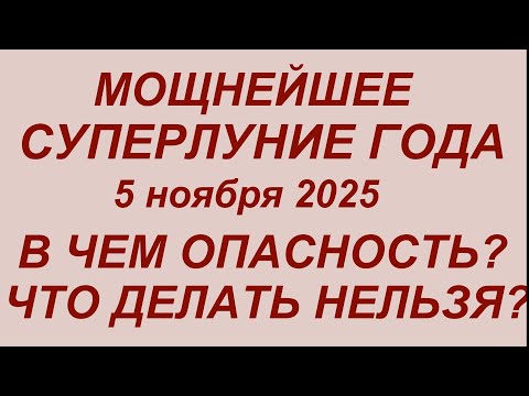 Видео: "Охотничья" Луна 5 ноября 2025. Мощное Суперлуние. В чем опасность? Что делать нельзя? 