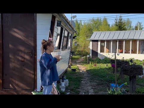 Видео: Прекрасное утро! В iblogger ежедневно публикую видео, ссылка в описании