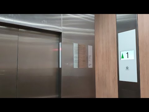 Видео: ЛИФТЫ В МГУ! ЛИФТЫ SCHINDLER 2018 Г С СИСТЕМОЙ PORT (ГЗ МГУ)