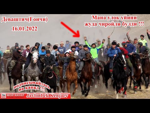 Видео: Улоки Деваштич(Гончи) 16.01.2022/Купкари 2022/ Бузкаши дар Деваштич 2022