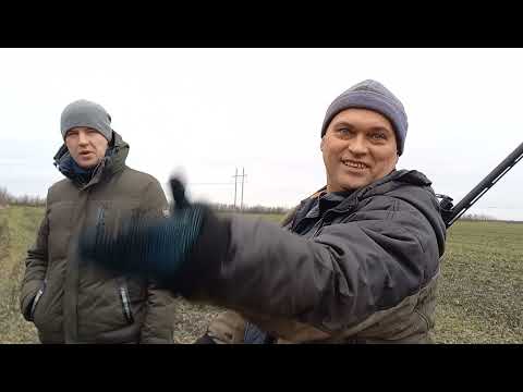 Видео: Охота  на  зайца  19.12.21..Отмечаем  день  Святого  Николая, и  день  рождение Николая.
