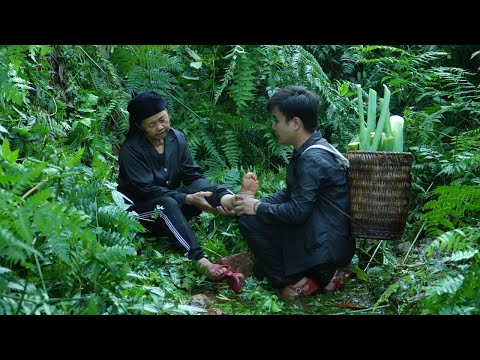 Видео: Теплое человеческое тепло: Внезапная травма бабушки и история доброго молодого человека