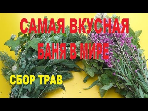 Видео: Самая лучшая баня. Сбор трав.