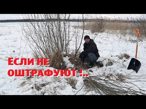 Видео: Теперь наш участок на берегу стоит миллион (не меньше))!