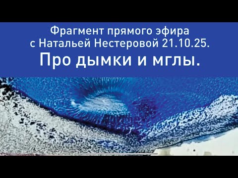 Видео: Про дымки и мглы. Фрагмент прямого эфира 21.10.25.