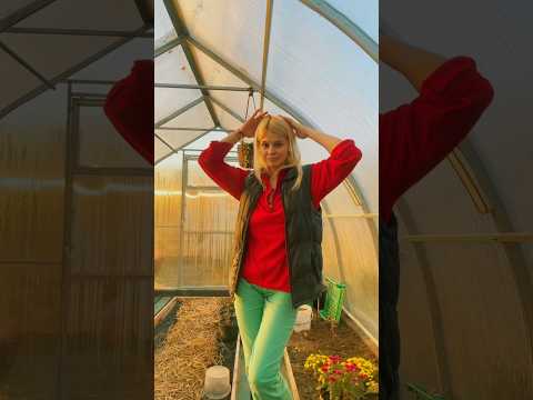 Видео: вильвильвиль🤣ногиль🤭