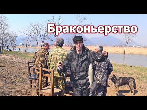 Видео: Рыбалка на спиннинг. Клев рыбы на тараканов! Рыбные места и браконьеры!