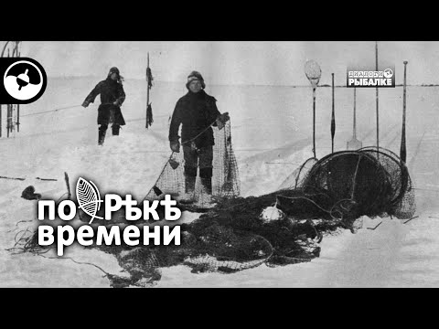 Видео: Корюшка. Легенда питерских рыболовов | По реке времени