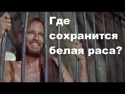 Видео: Где сохранится белая раса?