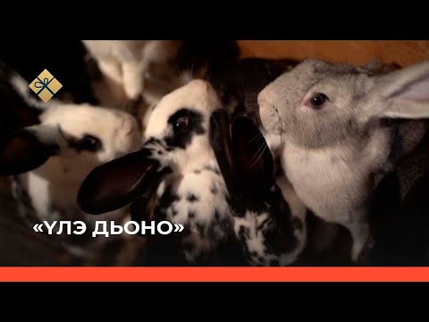 Видео: «Үлэ дьоно» (20.12.21)