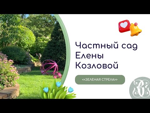 Видео: Заглянем в авторский сад Елены Козловой?