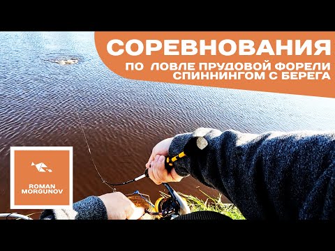 Видео: Форель на спиннинг. Турнир по ловле форели с берега. Коваши.