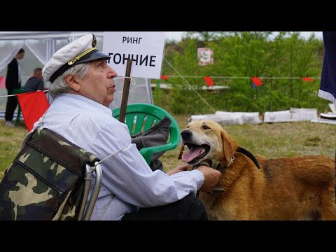 Видео: 2 июня 2024г. Нижегородская областная выставка ОС (ринги гончих)