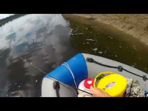 Видео: Рыбалка на Томи в р-не протоки Серебряной