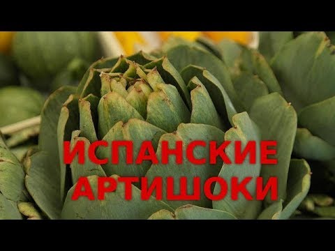 Видео: Испанские артишоки