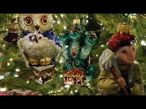 Видео: ЕЛКА🎄Сезона 2023-2024гг.