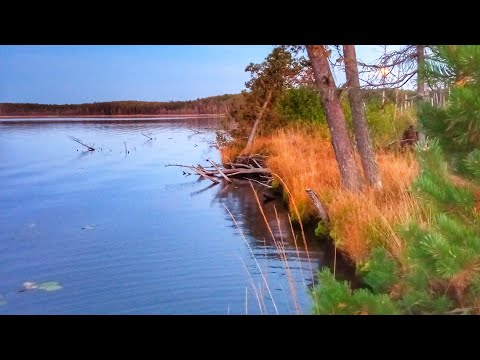 Видео: РЫБАЛКА НА ОЗЕРЕ. Зимние снасти в ДЕЛЕ. Туда так просто не добраться. Russian fishing