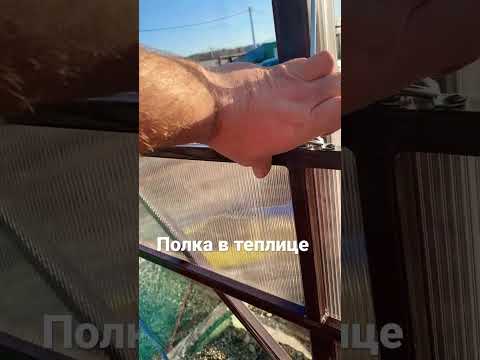 Видео: Полка в теплице #уральскаяусадьба #теплицыизполикарбоната