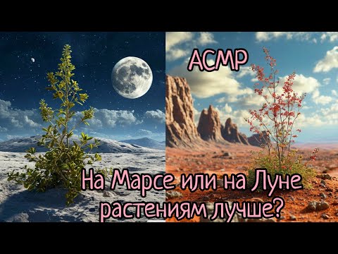 Видео: АСМР | Планета 9, новые данные о Юпитере и лучшие фото Хаббла и Уэбба за 2024 | шепот