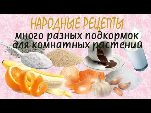 Видео: Натуральные подкормки для комнатных растений