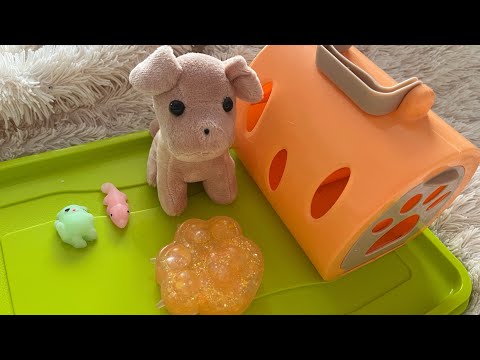 Видео: ОБЗОР ПОКУПОК/НОВЫЕ СКВИШИ/ПЕРЕНОСКА🩷