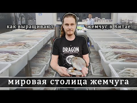 Видео: Мировая столица жемчуга. Как выращивают жемчуг на Китайских фермах. How Are Pearls Made?Chinese farm