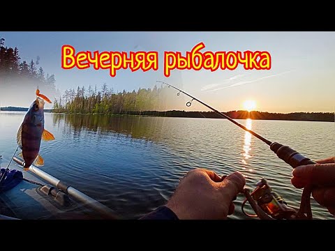 Видео: Вечерняя рыбалка на озере с лодки. Выехали на пару часов после дачных дел отдахнуть.