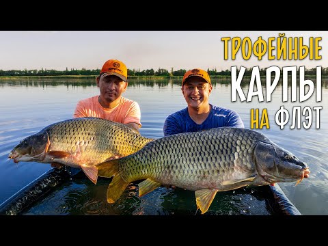 Видео: ТРОФЕЙНЫЙ КАРП на флэт фидер. 48 часов рыбалки на Марьевском водохранилище.