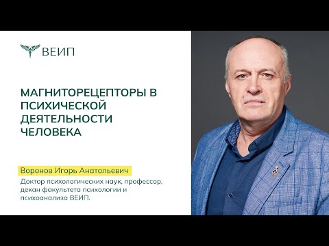 Видео: Воронов И.А. "Магниторецепторы в психической деятельности человека"