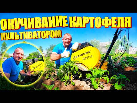 Видео: Мотокультиватор Чемпион ВС5712 Окучивание Картофеля Обзор