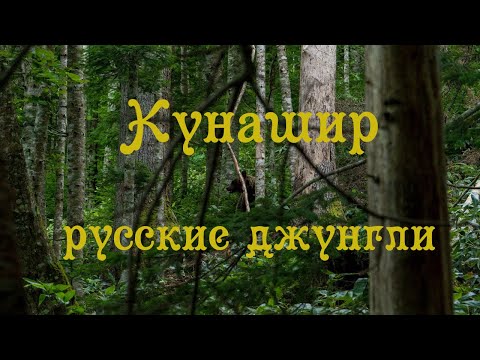 Видео: Кунашир - русские джунгли