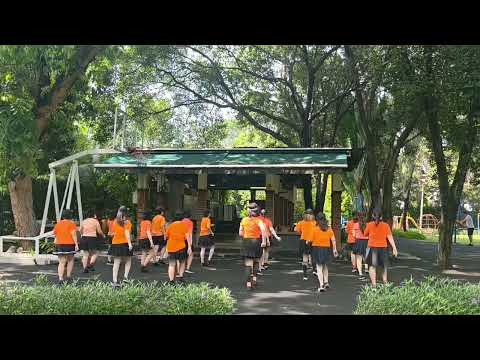 Видео: Любовное зелье 666 Линейный танец